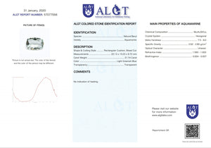 21.74ct ALGT Untreated Green Cushion Aquamarine (22.1x15.2)